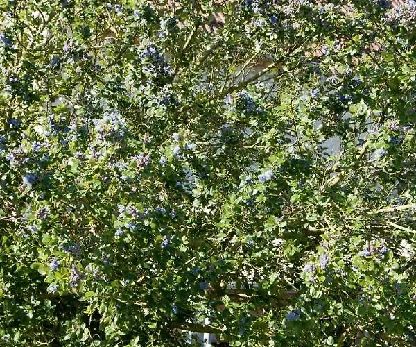 La Batterie By Interhome Longues-sur-Mer