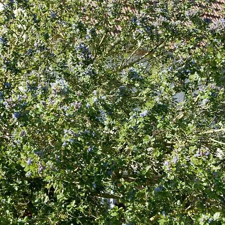 La Batterie By Interhome Longues-sur-Mer